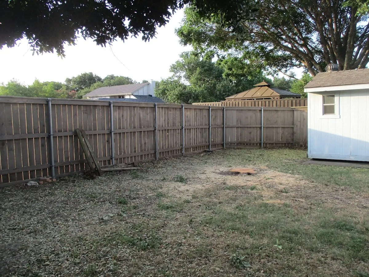 Cleared yard after professional tree removal in Furman